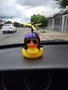 Hélice Amarela (para o pato decorativo CH5062)